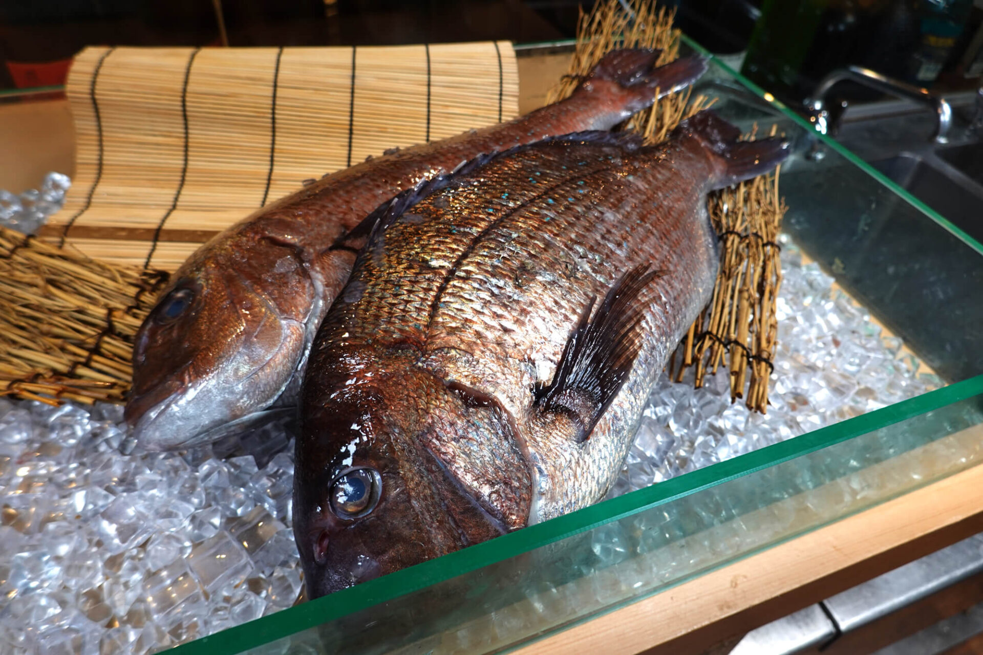 魚